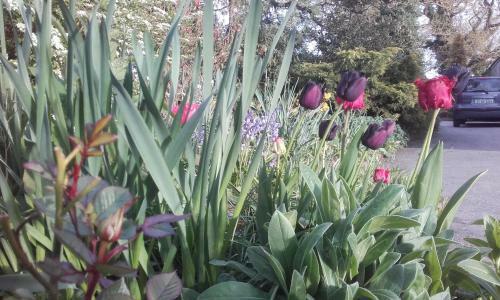 Twin Oaks Bed & Breakfast