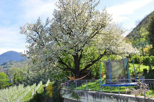 Apartamento Unterbrunnerhof