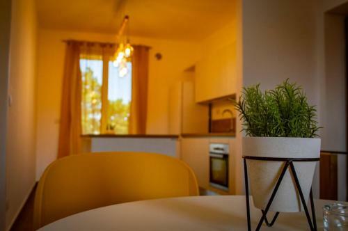 Kosmos B&B