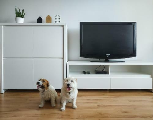 Uroczy Apartament Pod Skarp?
