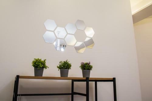 P&m Apartament