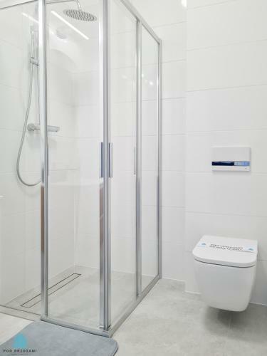 Pod Brzozami Apartamenty S?oneczne Apartamenty