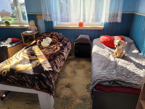 Apartamenty Strumyk