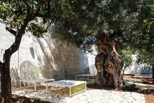 Bed & Breakfast Villa Al Mare Sea, Relax & Wellness