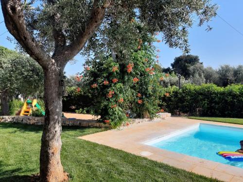 La Casa Di Bel
