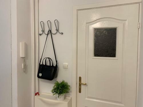 Apartamento Z?ota 81