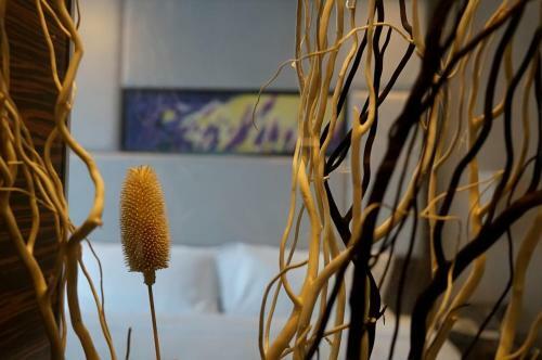 Lavande Hotel Suzhou Guanqian