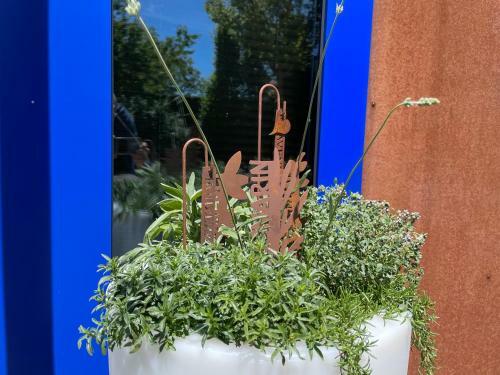 Apartamento Rh�nloft - Ferienapartment