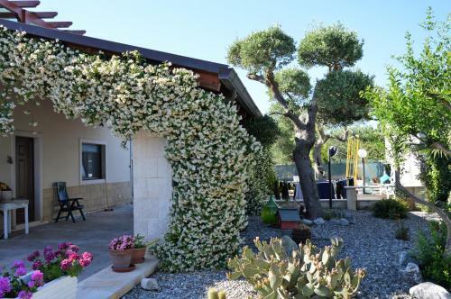 B&B Casa Delle Rondini