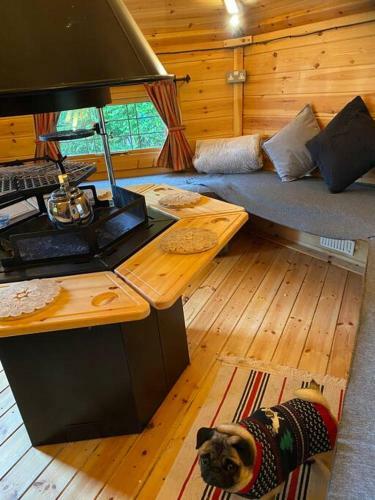 Luxury Central Townhouse, With Bbq Cabin & Parking