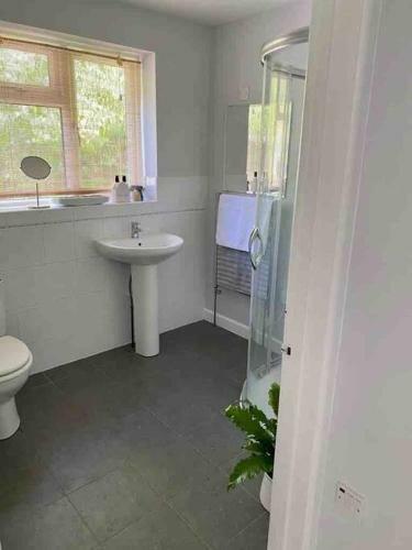 Quiet Coastal Cottage, Perfect For Couples With Dogs