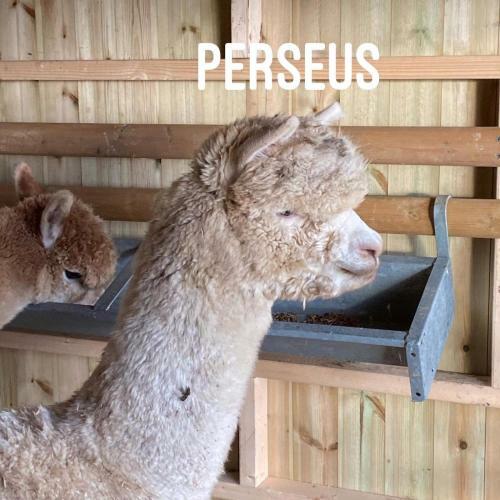 The Private Hill