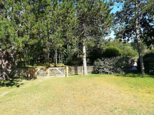 Charmante Villa Entre Dunes, For�t Et Mer