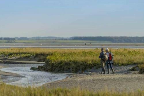 Charmante Villa Entre Dunes, For�t Et Mer