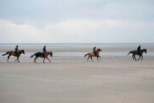 Charmante Villa Entre Dunes, For�t Et Mer