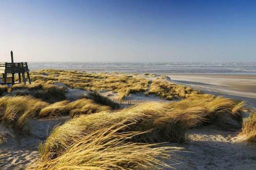 Charmante Villa Entre Dunes, For�t Et Mer