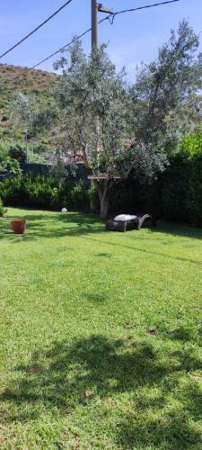 Apartamento Angela