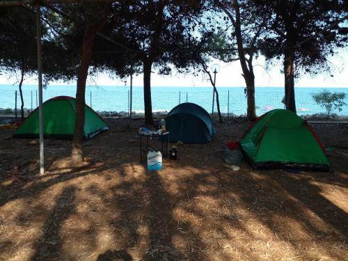 Apartamento Camping Columbia