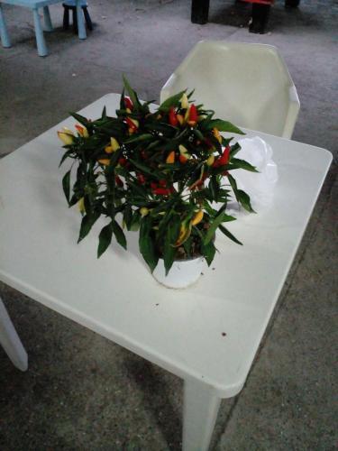 Apartamento Camping Columbia