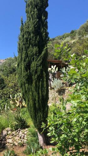 Vistalago Garden