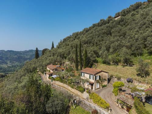 Locazione Turistica Il Glicine