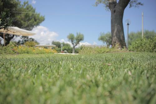 Apartamento Villa Curri