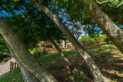 B&B Acque Lucenti