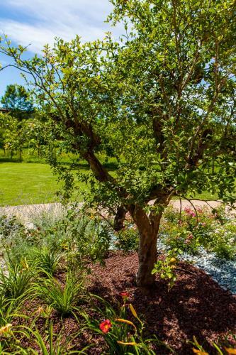 Agroturismo Agriturismo La Chiocciola