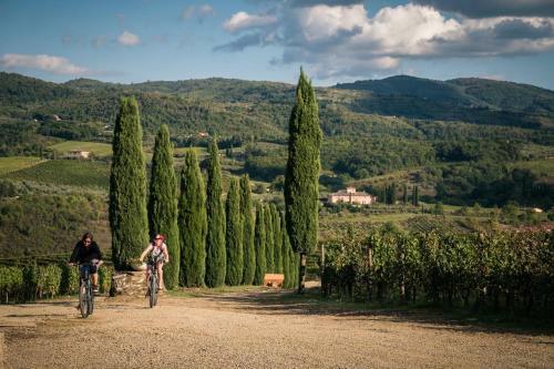 Agroturismo Fattoria Viticcio
