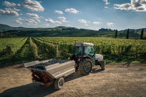 Agroturismo Fattoria Viticcio
