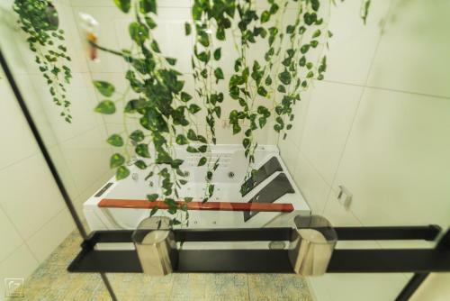 Apartament Sienkiewicza