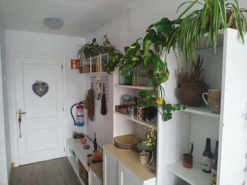 Apartamento Summer On The Beach, Sleep With The Sea