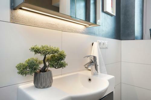 Baobab Home