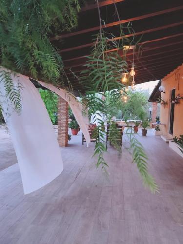 Apartamento Dimora Virone