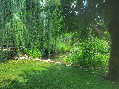 Antico Casolare Con Piscina Immerso Nel Verde