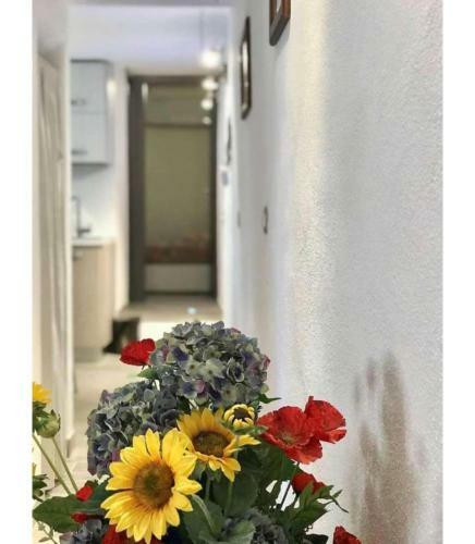 Casa Viola