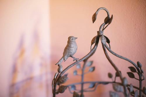 Agroturismo Agriturismo I Vicini Di Cesare