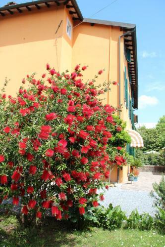 Bed & Breakfast Lucca Fora
