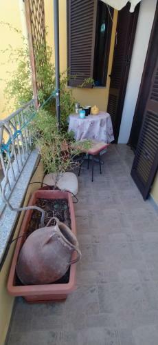 Apartamento Sa Domo Ruja.