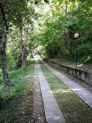 Apartamento La Casa Sul Lago, Relax E Quiete Meditativa.