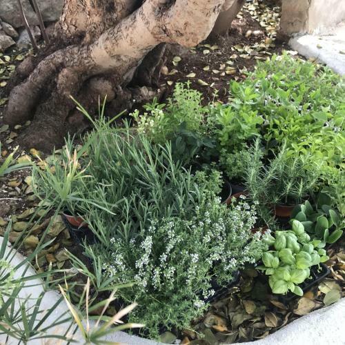Bed & Breakfast Casapiuholidaysicilia
