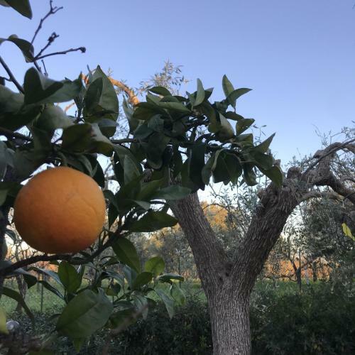 Bed & Breakfast Casapiuholidaysicilia