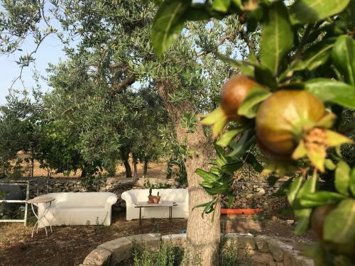 Bed & Breakfast Casapiuholidaysicilia