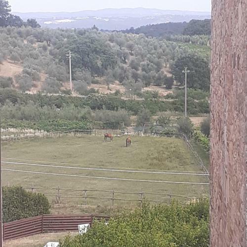 Villa Le Palmine