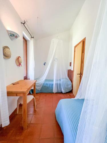Casa Tat�n