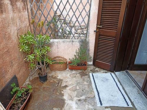 Apartamento Kasamee Shark Beach
