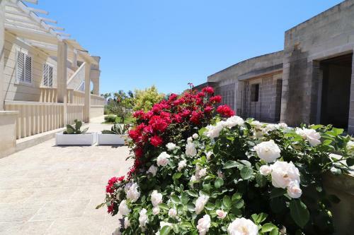 Elegante Casa Marina A Otranto