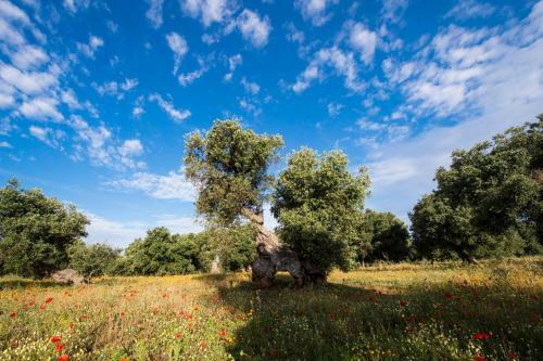 Charming And Luxury Villa Close To Ostuni