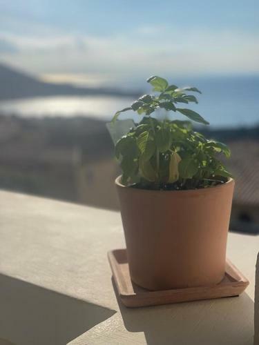 Apartment I3, 140, Cap Esterel