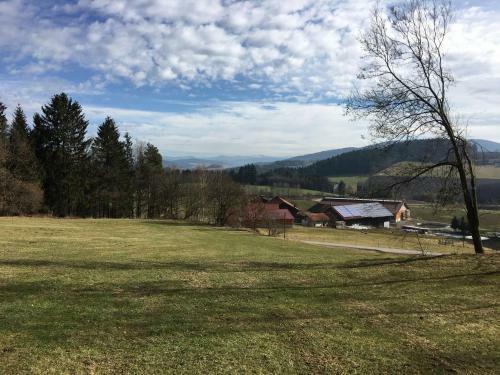 Cozy Holiday Home In Konzell With Terrace